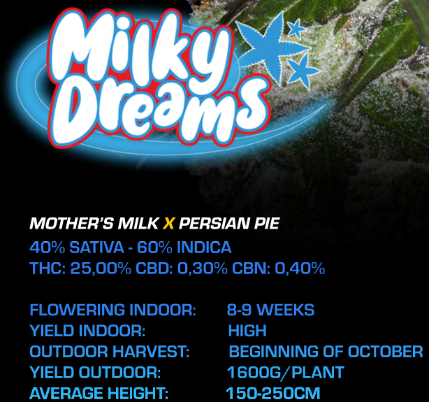 Milky Dreams - Cannabis Seeds - WWW.SEEDS-BANK.CZ
